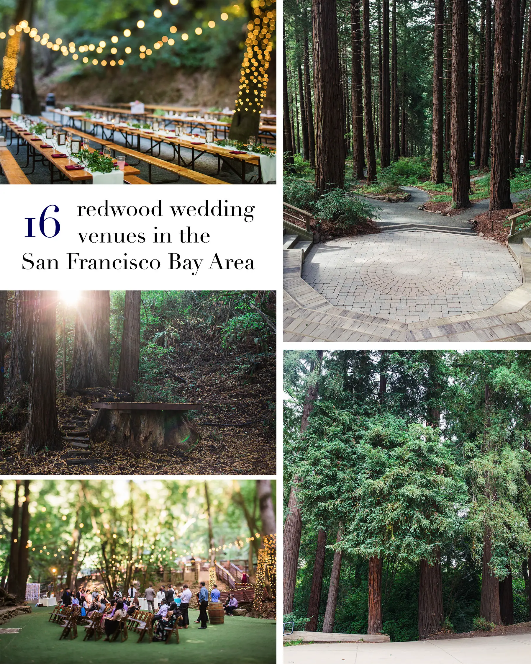 16 Amazing Wedding Venues with Redwoods in the San Francisco Bay Area