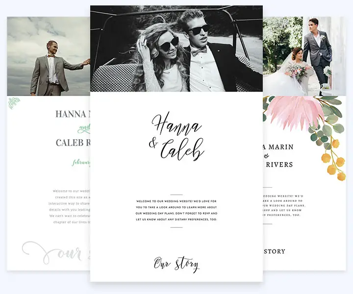 45+ Our Story Wedding Website Examples PNG