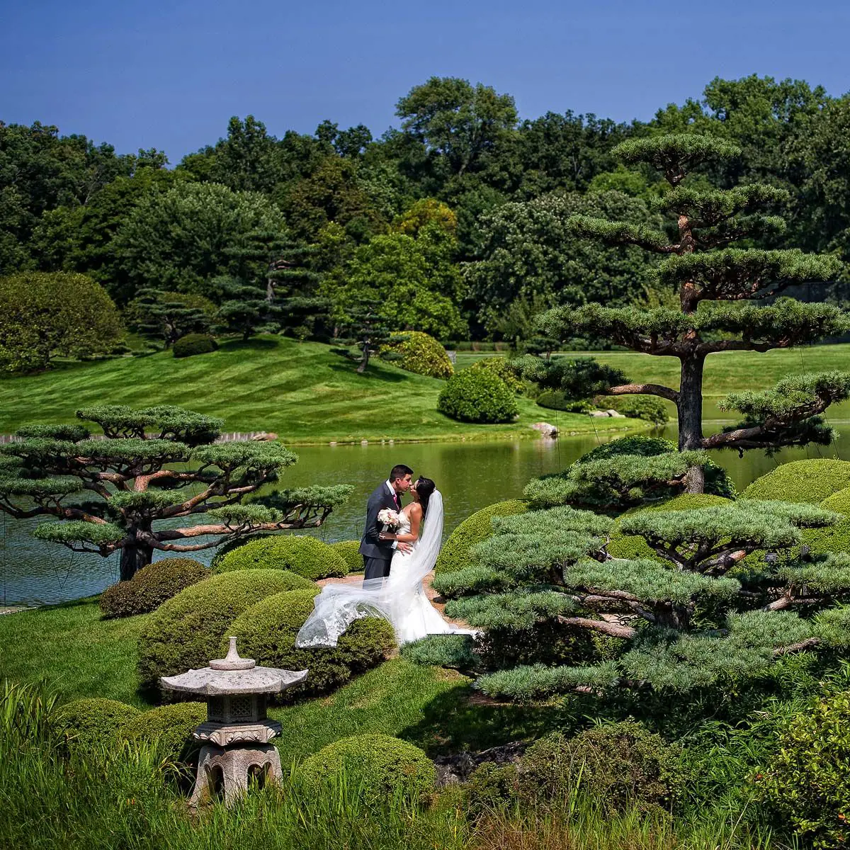 Botanical Gardens Wedding Cost  Beautiful Flower Arrangements and ...