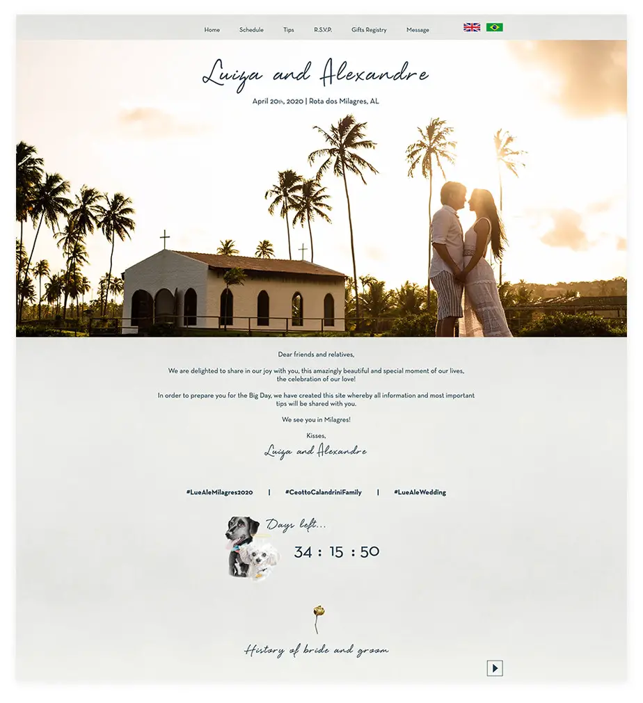 Gorgeous Wedding Website Examples for 2022