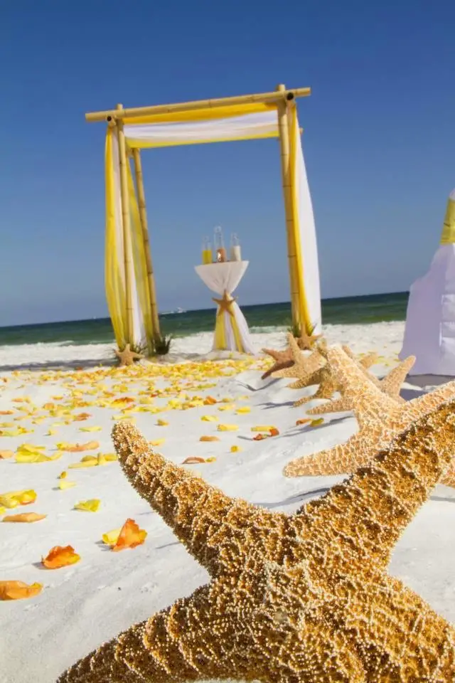 How to Plan a Beach Weddings in an Affordable Way ...