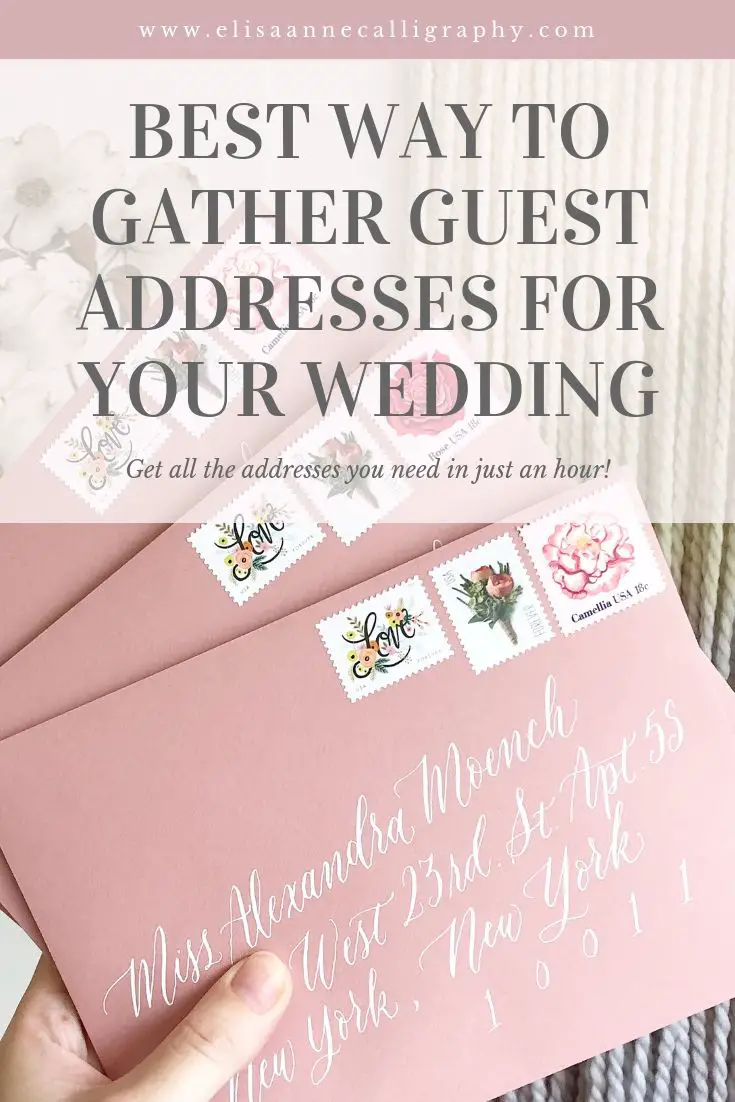 The Easiest Way to Collect Guest Addresses for a Wedding ...