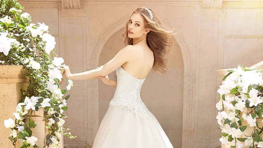 Wedding Dress Trains Guide: Style, Length &  Types for Bridal Gowns ...